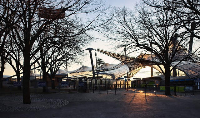 TA专栏：双足怪谢尔基，英超联赛的特立独行者